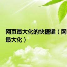 网页最大化的快捷键(网页打开最大化)