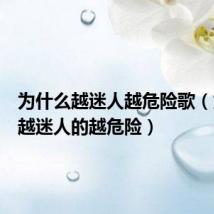 为什么越迷人越危险歌(为什么越迷人的越危险)