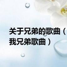 关于兄弟的歌曲（你是我兄弟歌曲）