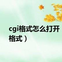 cgi格式怎么打开(cgi格式)