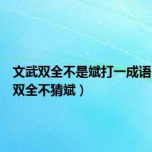 文武双全不是斌打一成语(文武双全不猜斌)