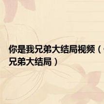 你是我兄弟大结局视频(你是我兄弟大结局)