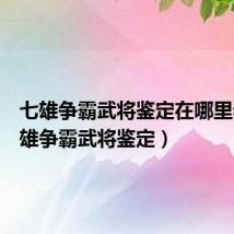 七雄争霸武将鉴定在哪里看(七雄争霸武将鉴定)