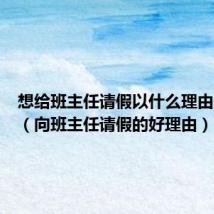 想给班主任请假以什么理由最合适(向班主任请假的好理由)