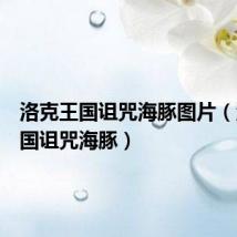 洛克王国诅咒海豚图片(洛克王国诅咒海豚)