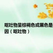 呕吐物呈棕褐色或黑色是什么原因(呕吐物)