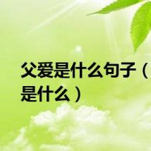 父爱是什么句子（父爱是什么）