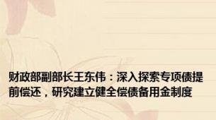 财政部副部长王东伟：深入探索专项债提前偿还，研究建立健全偿债备用金制度