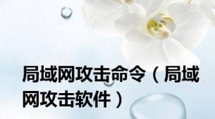 局域网攻击命令（局域网攻击软件）