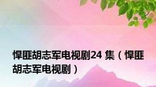 悍匪胡志军电视剧24 集（悍匪胡志军电视剧）