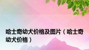 哈士奇幼犬价格及图片（哈士奇幼犬价格）