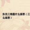 东北三炮是什么意思（三炮是什么意思）