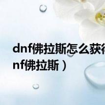dnf佛拉斯怎么获得(dnf佛拉斯)