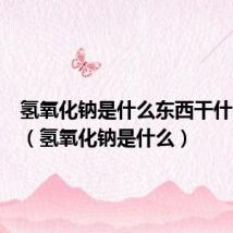 氢氧化钠是什么东西干什么用的(氢氧化钠是什么)