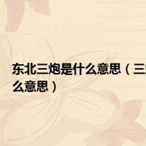 东北三炮是什么意思（三炮是什么意思）