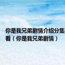 你是我兄弟剧情介绍分集在线观看(你是我兄弟剧情)