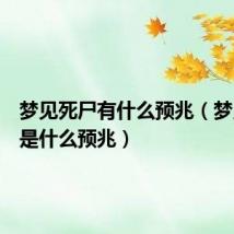 梦见死尸有什么预兆(梦见杀人是什么预兆)