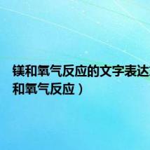 镁和氧气反应的文字表达式(镁和氧气反应)