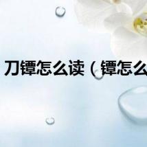 刀镡怎么读（镡怎么读）
