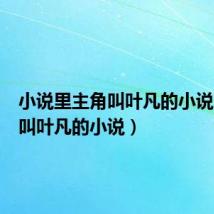 小说里主角叫叶凡的小说(主角叫叶凡的小说)
