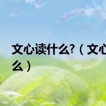 文心读什么?（文心读什么）