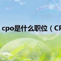cpo是什么职位(CPO)