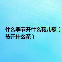 什么季节开什么花儿歌(什么季节开什么花)