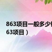 863项目一般多少钱(863项目)