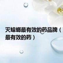 灭蟑螂最有效的药品牌(灭蟑螂最有效的药)