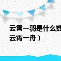 云霄一羽是什么数字（云霄一舟）