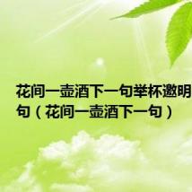 花间一壶酒下一句举杯邀明月下一句(花间一壶酒下一句)