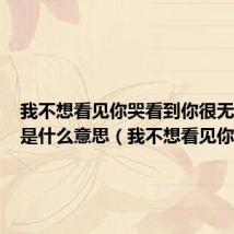 我不想看见你哭看到你很无助歌词是什么意思(我不想看见你)