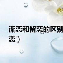 流恋和留恋的区别（流恋）