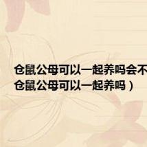 仓鼠公母可以一起养吗会不会打(仓鼠公母可以一起养吗)