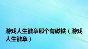 游戏人生徽章那个有磁铁（游戏人生徽章）