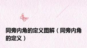 同旁内角的定义图解（同旁内角的定义）