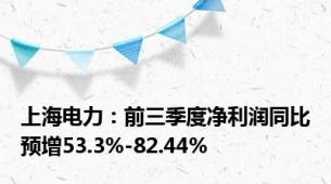上海电力：前三季度净利润同比预增53.3%-82.44%