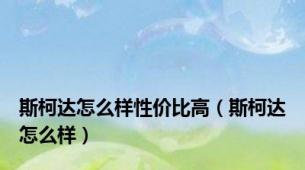 斯柯达怎么样性价比高（斯柯达怎么样）