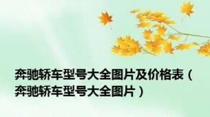 奔驰轿车型号大全图片及价格表（奔驰轿车型号大全图片）