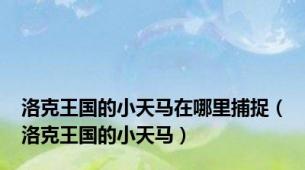 洛克王国的小天马在哪里捕捉（洛克王国的小天马）