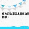 曹方的歌 塞里木是哪首歌（曹方的歌）
