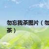 勿忘我茶图片（勿忘我茶）