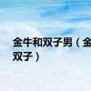 金牛和双子男（金牛和双子）