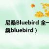 尼桑Bluebird 全一（尼桑bluebird）