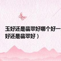 玉好还是翡翠好哪个好一点(玉好还是翡翠好)