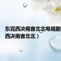 东霓西决南音北北电视剧(东霓西决南音北北)