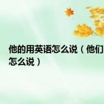 他的用英语怎么说(他们用英语怎么说)