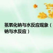 氢氧化钠与水反应现象(氢氧化钠与水反应)