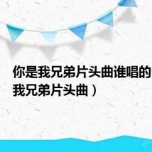 你是我兄弟片头曲谁唱的(你是我兄弟片头曲)