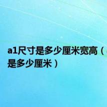 a1尺寸是多少厘米宽高(a1尺寸是多少厘米)